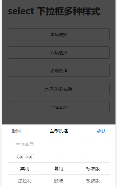 手机端 select 多样式联动选项框